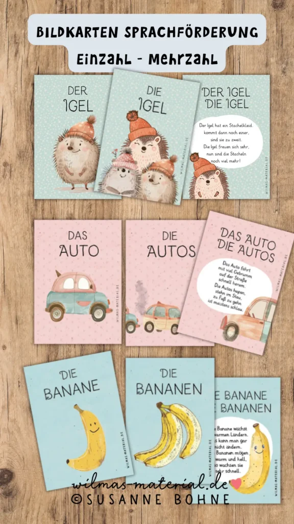 Einzahl Mehrzahl Bildkarten zur Sprachförderung im Kindergarten von Wilmas Material