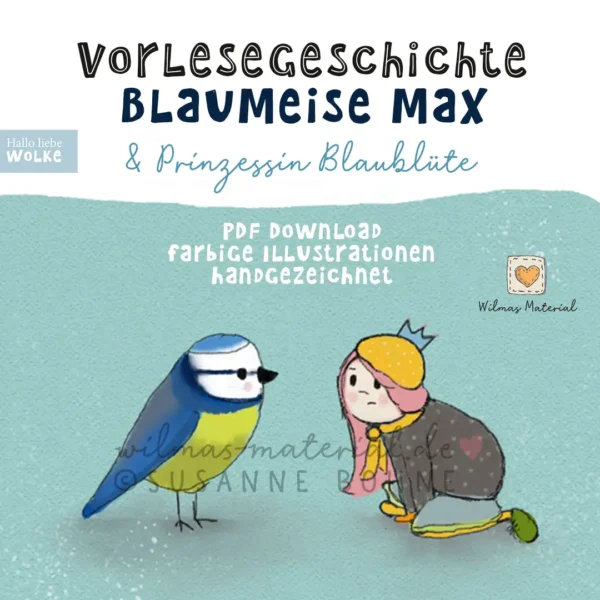 Prinzessin Blaublüte Blaumeise Max Vögel im Winter böser Traum Traumfänger basteln