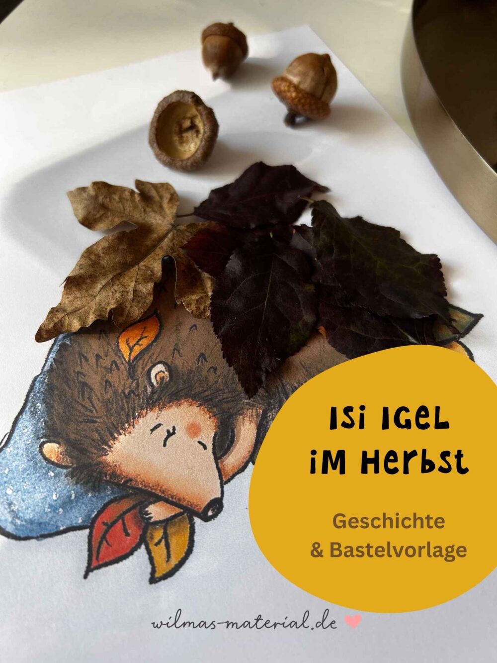 Igel Isi Bastelbild mit echten Herbstblättern und Eicheln - Herbstgeschichte und Bastelvorlage PDF - Winterschlaf Igel in Kita und Kindergarten