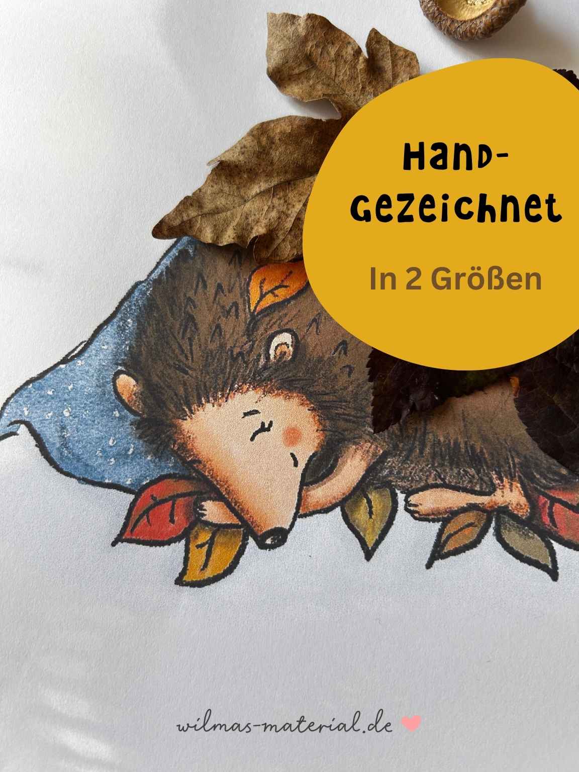 Handgezeichneter Igel Isi mit Herbstblättern und Eichel - professionelle Illustration in 2 Größen verfügbar